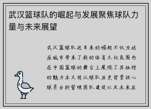 武汉篮球队的崛起与发展聚焦球队力量与未来展望